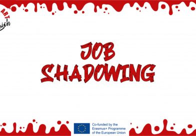 Job Shadowing
